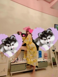 石家庄长腿骚货